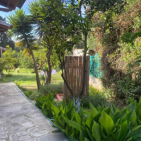 Casa Piccolino Paramonas (Corfu) Exterior foto