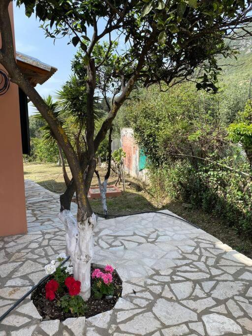 Casa Piccolino Paramonas (Corfu) Exterior foto