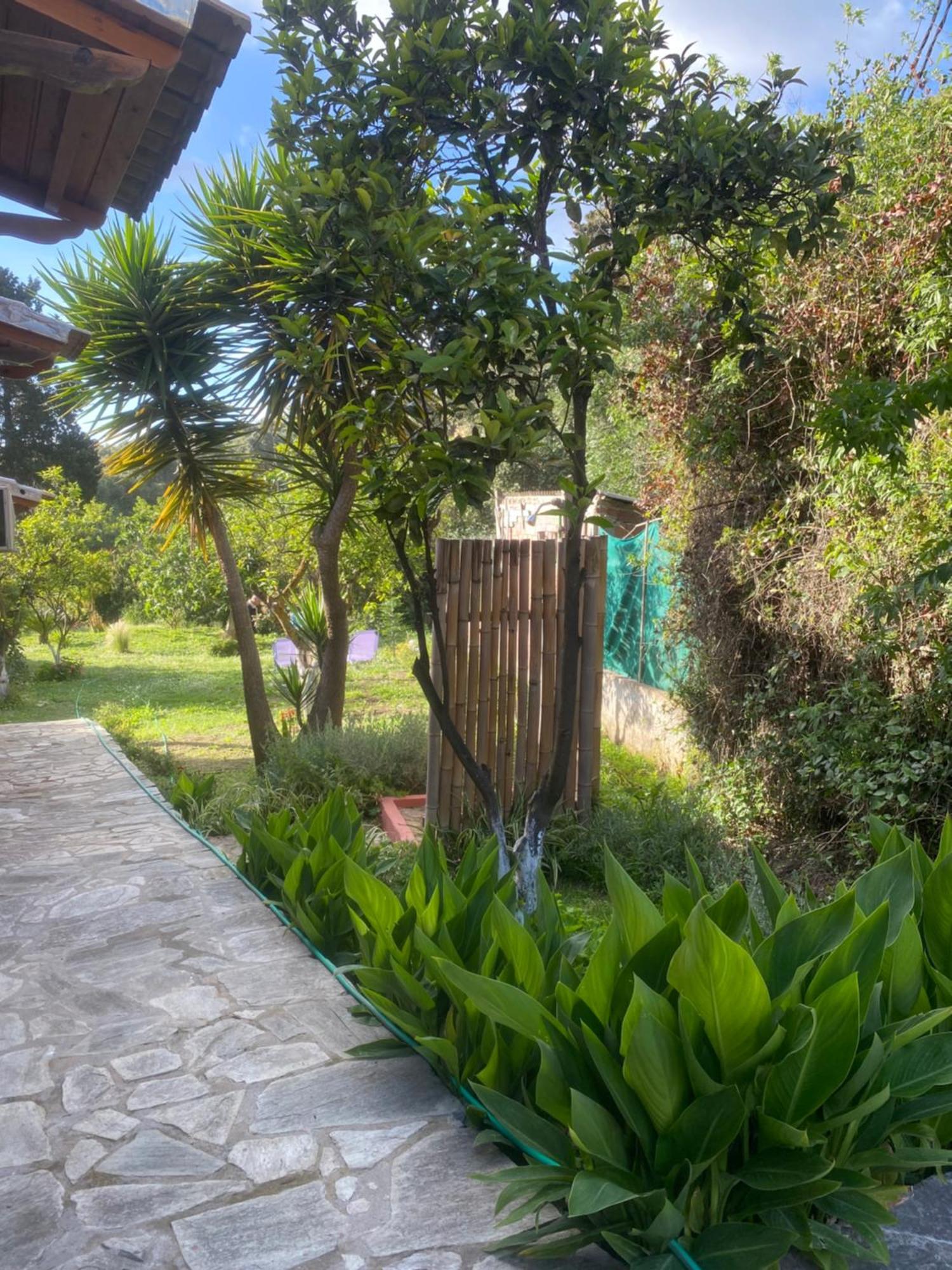Casa Piccolino Paramonas (Corfu) Exterior foto